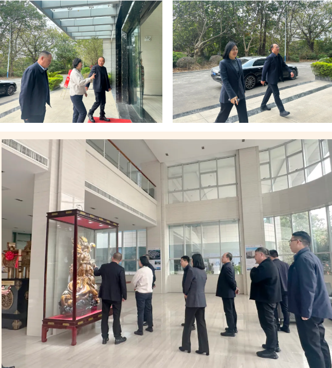 微信图片_20250919135800_269_294.png